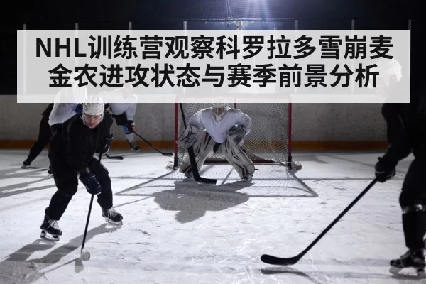 ice hockey arena action