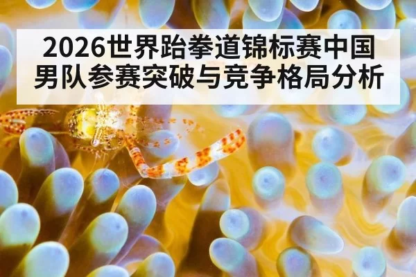 2026世界跆拳道锦标赛中国男队参赛突破与竞争格局分析